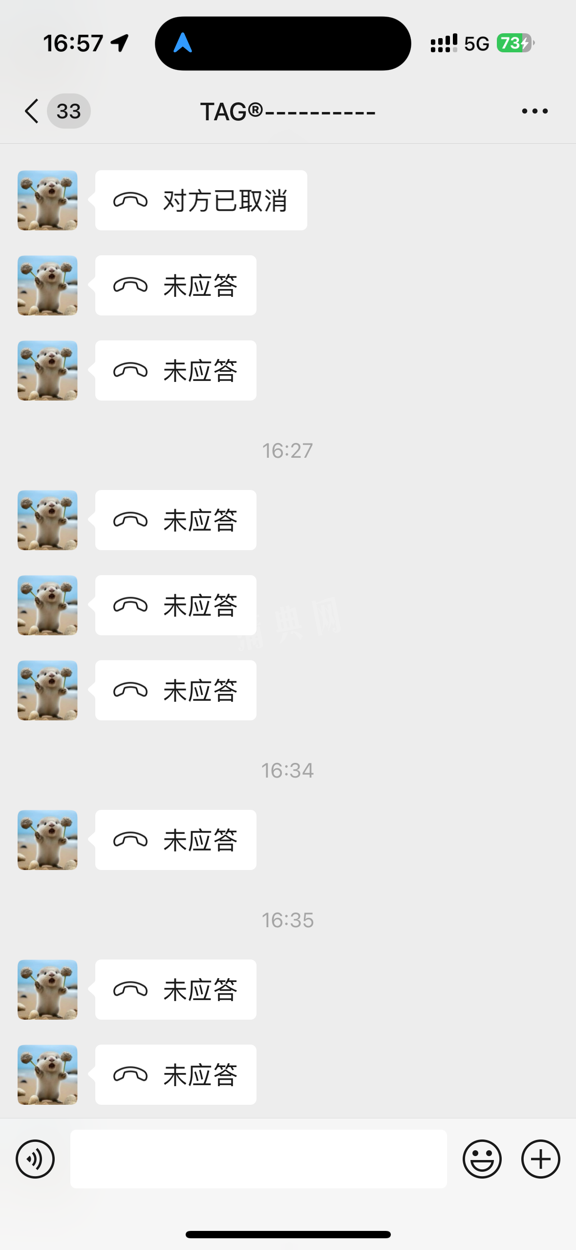IMG_9799.png