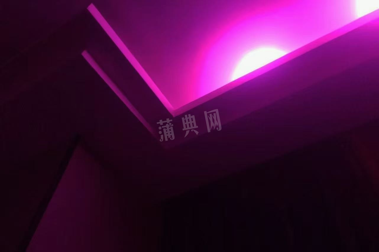 57468265-60BB-4B23-B204-72156147FC55.jpeg